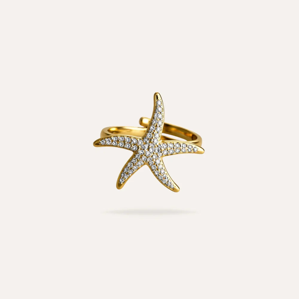Francesca | Bague étoile en acier inoxydable et zircons